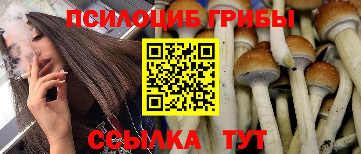 Псилоцибиновые грибы мицелий Россия