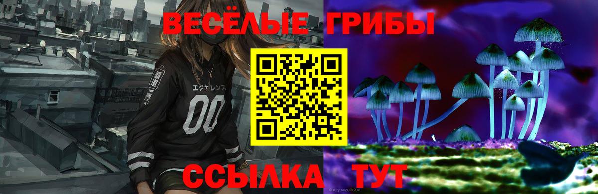 Россия  Псилоцибиновые грибы прущие грибы  что такое   Вход с VPN  Псилоцибиновые грибы Cubensis 